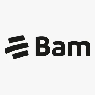 Seguros BAM